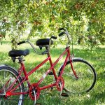 Tandem bici guida all’acquisto della migliore, marche e prezzi