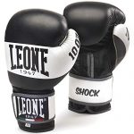 I Migliori Guantoni da Boxe