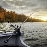 Migliori canne da pesca: guida all'acquisto e caratteristiche